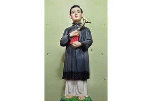 Thánh Gioan Baotixita Trần Ngọc Cỏn, tử đạo ngày 08 tháng 11