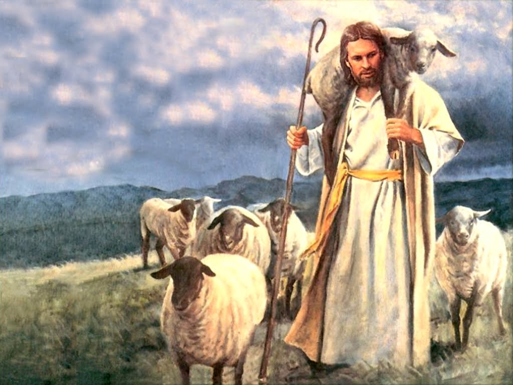 Lời Chúa Ngày 30/04/2023: Chúa nhật 4 Phục sinh năm A - Lễ Chúa Chiên