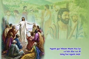 Chúa nhật 15 Thường niên năm B - Hành Trang Người Môn Đệ (Mc 6,7-13)