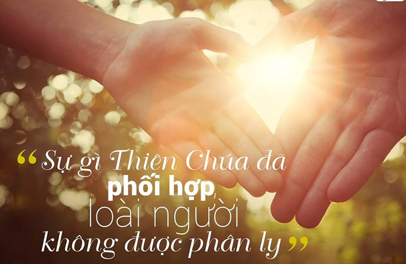 Lời Chúa Ngày 25/02/2022: Thứ Sáu tuần 7 Thường niên năm II (Mc 10,1-12)