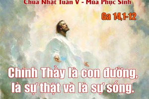 Lời Chúa Ngày 07/05/2023: Chúa nhật 5 Phục sinh năm A (Ga 14,1-12)