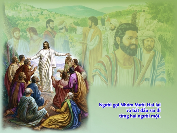 Lời Chúa Ngày 14/07/2024: Chúa nhật 15 Thường niên năm B - Hành Trang Người Môn Đệ (Mc 6,7-13)