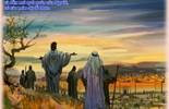 Lời Chúa Ngày 07/07/2024: Chúa nhật 14 Thường niên năm B - Đức Giêsu tại Nadarét (Mc 6,1-6)