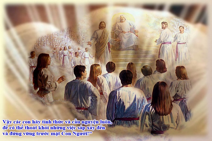 Catholic mass readings for November 29, 2025: Saturday of the Thirty-fourth Week in Ordinary Time