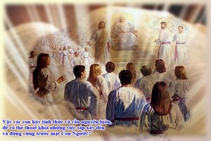 Catholic mass readings for November 29, 2025: Saturday of the Thirty-fourth Week in Ordinary Time