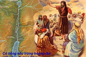 Catholic mass readings for December 07, 2025: Second Sunday of Advent