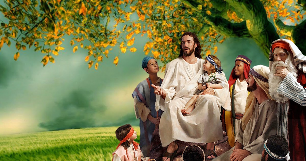 Lời Chúa Ngày 09/12/2025: Thứ Ba tuần 2 mùa Vọng - Tìm cứu những ai lầm lạc (Mt 18,12-14)