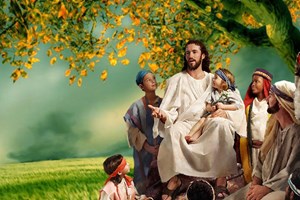 Lời Chúa Ngày 09/12/2025: Thứ Ba tuần 2 mùa Vọng - Tìm cứu những ai lầm lạc (Mt 18,12-14)