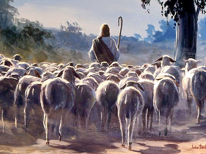 Catholic mass readings for May 11, 2025: Fourth Sunday of Easter