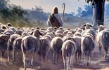 Catholic mass readings for May 11, 2025: Fourth Sunday of Easter