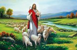 Lời Chúa Ngày 12/05/2025: Thứ Hai tuần 4 Phục sinh - Chủ chiên (Ga 10,11-18)