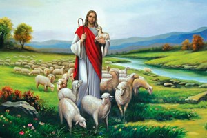 Lời Chúa Ngày 12/05/2025: Thứ Hai tuần 4 Phục sinh - Chủ chiên (Ga 10,11-18)