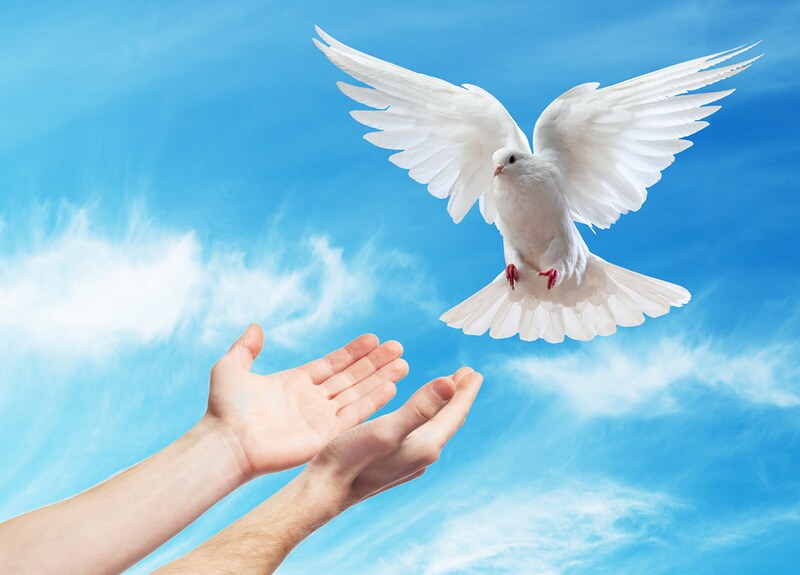Catholic mass readings for May 27, 2025: Tuesday of the Sixth Week of Easter