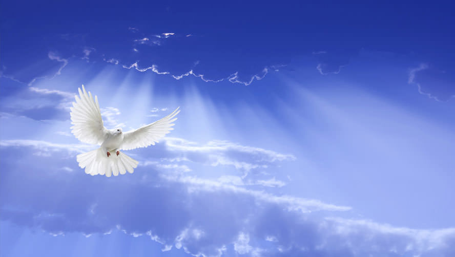 Catholic mass readings for May 28, 2025: Wednesday of the Sixth Week of Easter