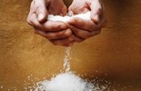 Lời Chúa Ngày 10/06/2025: Thứ Ba tuần 10 Thường niên năm I - Muối và Ánh Sáng (Mt 5,12-16)