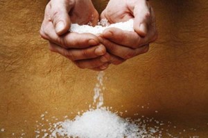 Lời Chúa Ngày 10/06/2025: Thứ Ba tuần 10 Thường niên năm I - Muối và Ánh Sáng (Mt 5,12-16)