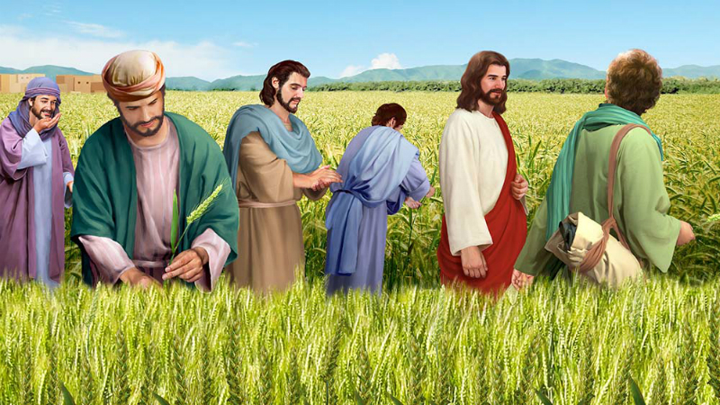 Catholic mass readings for July 18, 2025: Friday of the Fifteenth Week in Ordinary Time