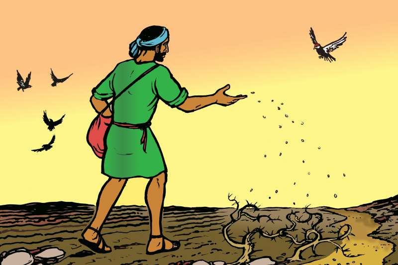 Lời Chúa Ngày 23/07/2025: Thứ Tư tuần 16 Thường niên năm I (Mt 13,1-9)