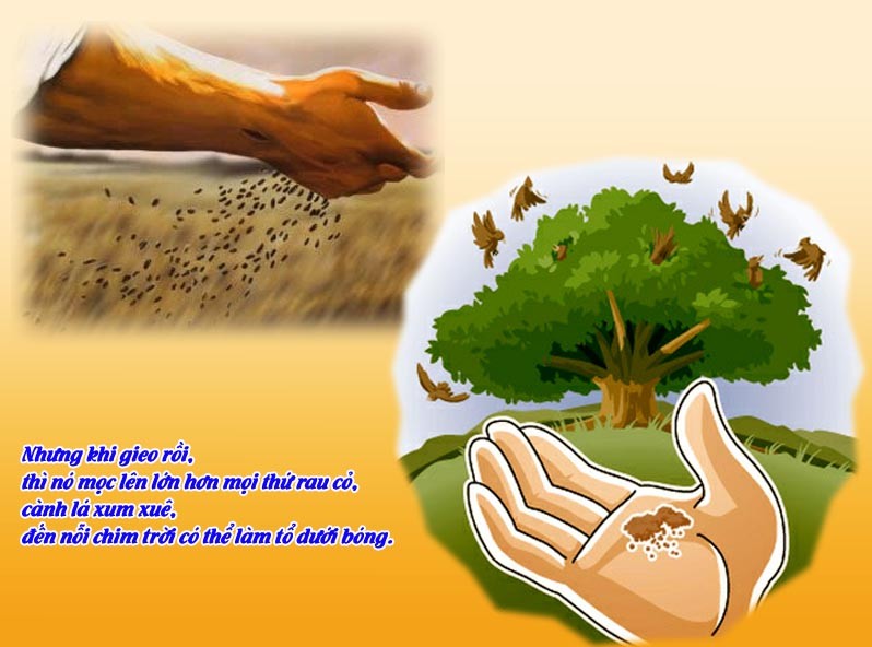 Lời Chúa Ngày 28/07/2025: Thứ Hai tuần 17 Thường niên năm I - Sức sống bên trong (Mt 13,31-35)
