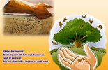 Lời Chúa Ngày 28/07/2025: Thứ Hai tuần 17 Thường niên năm I - Sức sống bên trong (Mt 13,31-35)