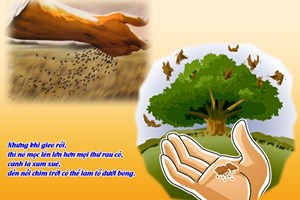Lời Chúa Ngày 28/07/2025: Thứ Hai tuần 17 Thường niên năm I - Sức sống bên trong (Mt 13,31-35)