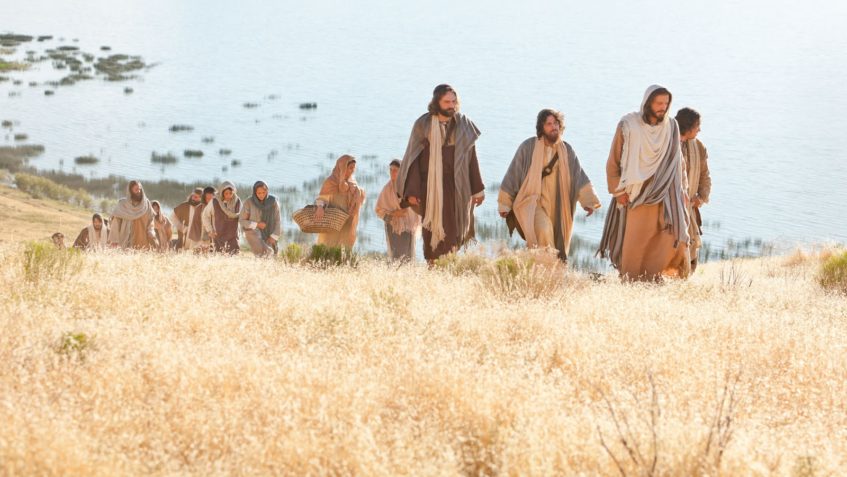 Catholic mass readings for July 06, 2025: Fourteenth Sunday in Ordinary Time