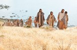Catholic mass readings for July 06, 2025: Fourteenth Sunday in Ordinary Time