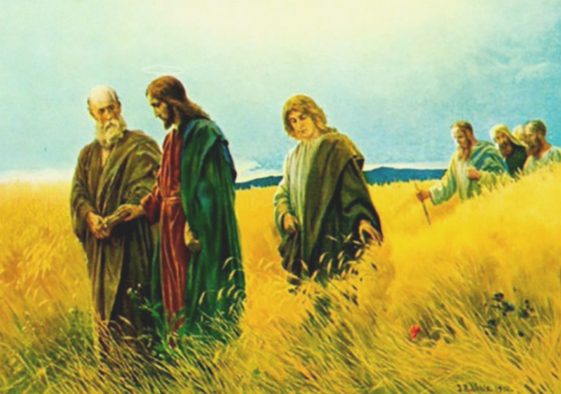 Catholic mass readings for July 08, 2025: Tuesday of the Fourteenth Week in Ordinary Time