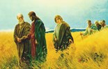 Catholic mass readings for July 08, 2025: Tuesday of the Fourteenth Week in Ordinary Time