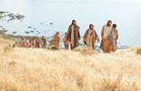 Catholic mass readings for July 09, 2025: Wednesday of the Fourteenth Week in Ordinary Time