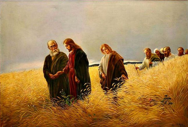 Catholic mass readings for September 06, 2025: Saturday of the Twenty-second Week in Ordinary Time