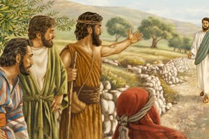 Lời Chúa Ngày 18/01/2026: Chúa nhật 2 Thường niên năm A (Ga 1, 29-34)