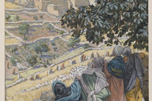 Lời Chúa Ngày 20/01/2026: Thứ Ba tuần 2 Thường niên năm II - Lề luật (Mc 2,23-28)