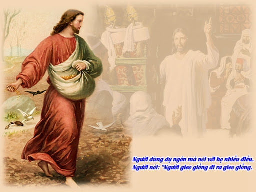 Lời Chúa Ngày 28/01/2026: Thứ Tư tuần 3 Thường niên năm II (Mc 4,1-20)