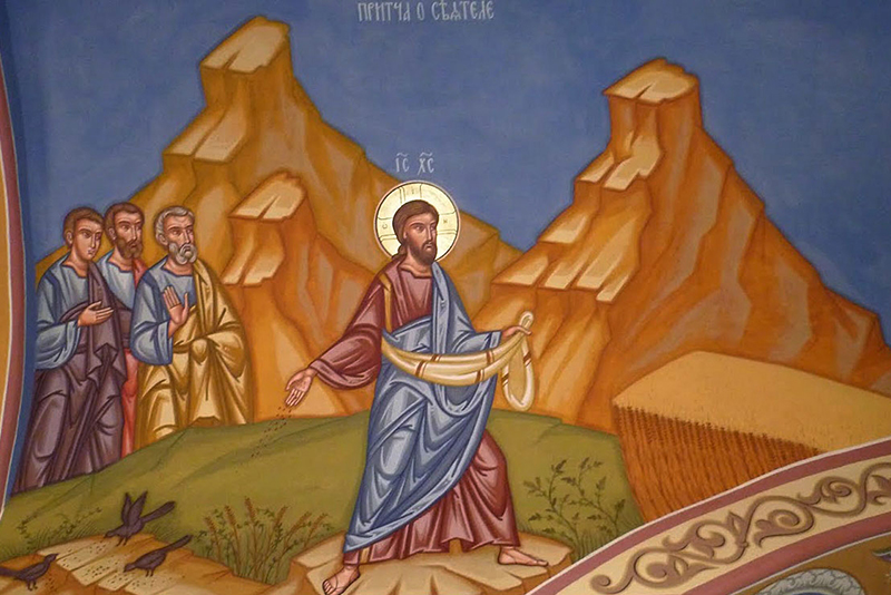 Lời Chúa Ngày 30/01/2026: Thứ Sáu tuần 3 Thường niên năm II (Mc 4,26-34)