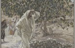 Lời Chúa Ngày 27/10/2026: Thứ Ba tuần 30 Thường niên năm II - Nước Thiên Chúa (Lc 13,18-21)
