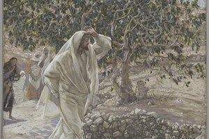 Lời Chúa Ngày 27/10/2026: Thứ Ba tuần 30 Thường niên năm II - Nước Thiên Chúa (Lc 13,18-21)