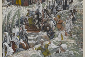 Lời Chúa Ngày 29/03/2026: Chúa nhật Lễ Lá năm A (Mt 26,14-27,66)