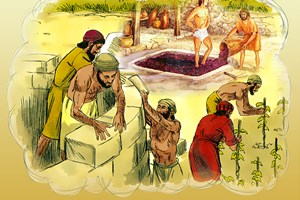 Lời Chúa Ngày 06/03/2026: Thứ Sáu tuần 2 mùa Chay (Mt 21,33-43.45-46)