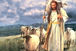 Lời Chúa Ngày 26/04/2026: Chúa nhật 4 Phục sinh năm A - Lễ Chúa Chiên Lành (Ga 10,1-10)