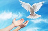 Lời Chúa Ngày 12/05/2026: Thứ Ba tuần 6 Phục sinh - Chúa Thánh Thần là Đấng tố cáo thế gian (Ga 16,5-11)