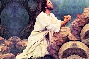 Lời Chúa Ngày 20/05/2026: Thứ Tư tuần 7 Phục sinh - Chúa Giêsu tiếp tục cầu nguyện cho các môn đệ (Ga 17,11b-19)