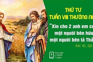 Lời Chúa Ngày 26/05/2026: Thứ Tư tuần 8 Thường niên (Mc 10,32-45) - Để phục vụ năm II