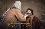 Catholic mass readings for May 28, 2026: Thursday of the Eighth Week in Ordinary Time