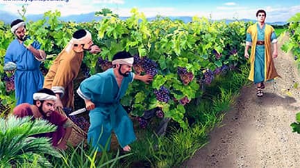 Lời Chúa Ngày 01/06/2026: Thứ Hai tuần 9 Thường niên năm II (Mc 12, 1-12)