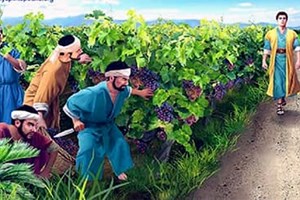 Lời Chúa Ngày 01/06/2026: Thứ Hai tuần 9 Thường niên năm II (Mc 12, 1-12)