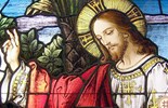 Catholic mass readings for June 04, 2026: Thursday of the Ninth Week in Ordinary Time