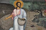Lời Chúa Ngày 12/07/2026: Chúa nhật 15 Thường niên năm A (Mt 13,1-23)