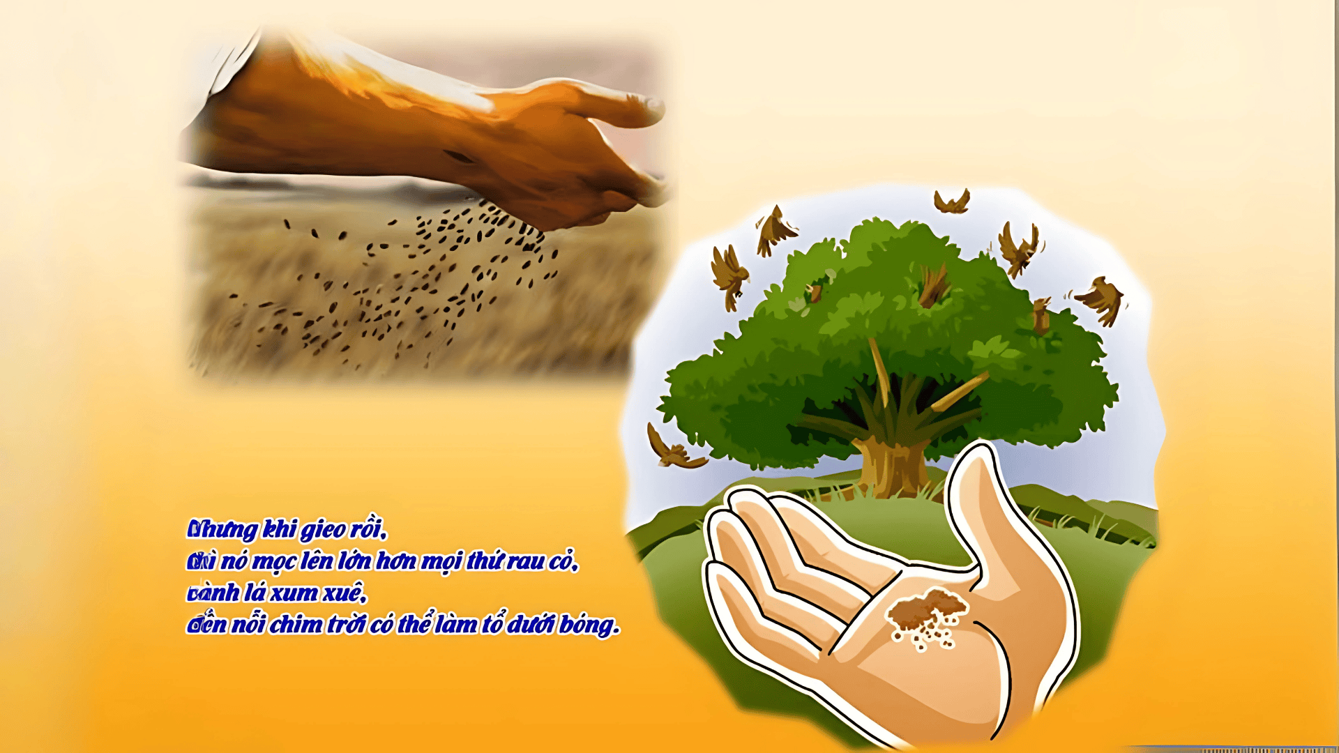 Lời Chúa Ngày 27/07/2026: Thứ Hai tuần 17 Thường niên năm II - Sức sống bên trong (Mt 13,31-35)