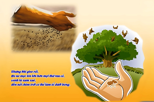 Lời Chúa Ngày 27/07/2026: Thứ Hai tuần 17 Thường niên năm II - Sức sống bên trong (Mt 13,31-35)